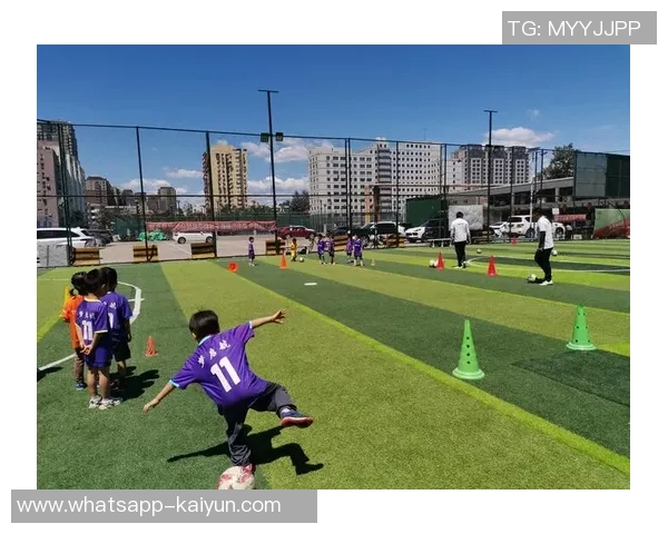 探索自由足球狐狸视频的魅力与技巧，带你领略足球的无限可能与乐趣